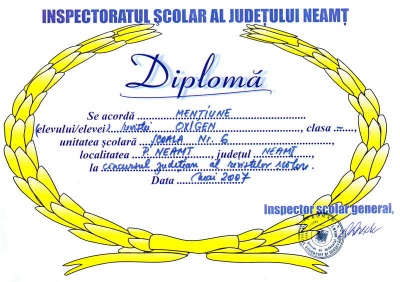 diplomarevistaoxigen_400