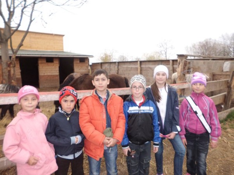 Excursie 8