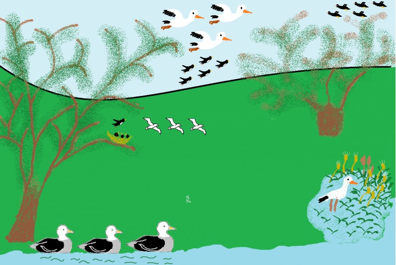 Desen realizat de eleva Găgioiu Adelina pentru Concursul "Mirifica lume a pasărilor"