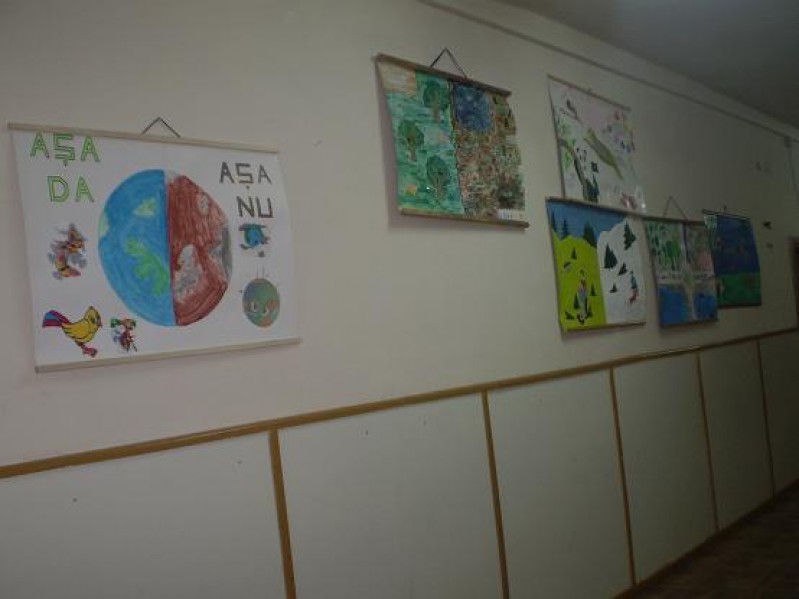 AU fost realizate postere cu mesaje ecologice puternice atat prin idee, desenul propriu-zis cat si prin culoare; acestea au fost expuse pe coridoare, dar si in clase. 