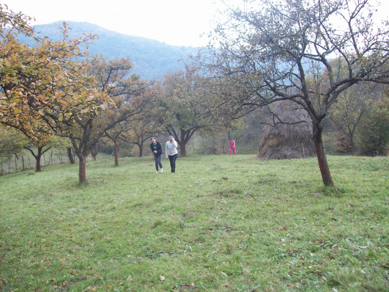 Excursie organizată în împrejurimile localităţii Sarasău, de elevii clasei a VIII -a B, 16. 10. 2010