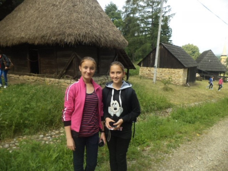 Vizitarea gospodăriilor ţărăneşti tradiţionale reprezentative pentru zone etnografice distincte din Transilvania.
