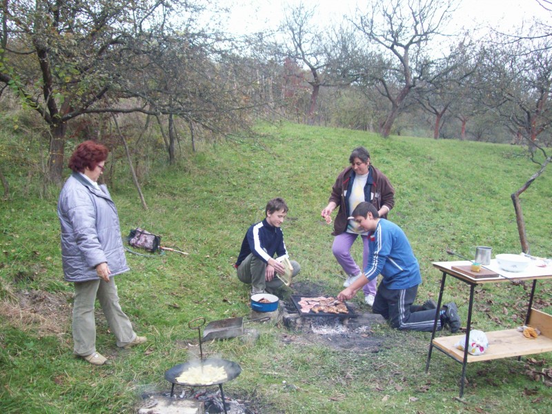 Excursie organizată în împrejurimile localităţii Sarasău, de elevii clasei a VIII -a B, 16. 10. 2010
