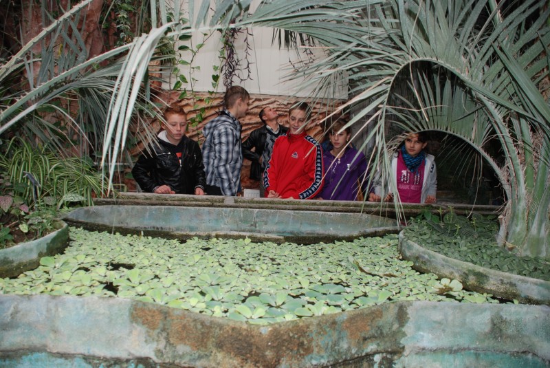 În 19.11.2010 un grup de elevi de la Şcoala cu clasele I-VIII Sarasău au vizitat grădina botanică "Vasila Fati" , Jibou. Elevii au fost impresionaţi de serele în formă de semisfere, unde au văzut o bogată colecţie de cactuşi, plante exotice, acvariul, grădina japoneză, o mică grădină zoologică, zona dendrologică dar şi o mică grădină romanâ.