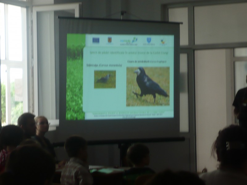 Activitate desfășurată pe tema protecției mediului in cadrul evenimentului " Natura - prietena ta", in colaborare cu Consiliul Judetean Dambovita - 14 iunie 2013 