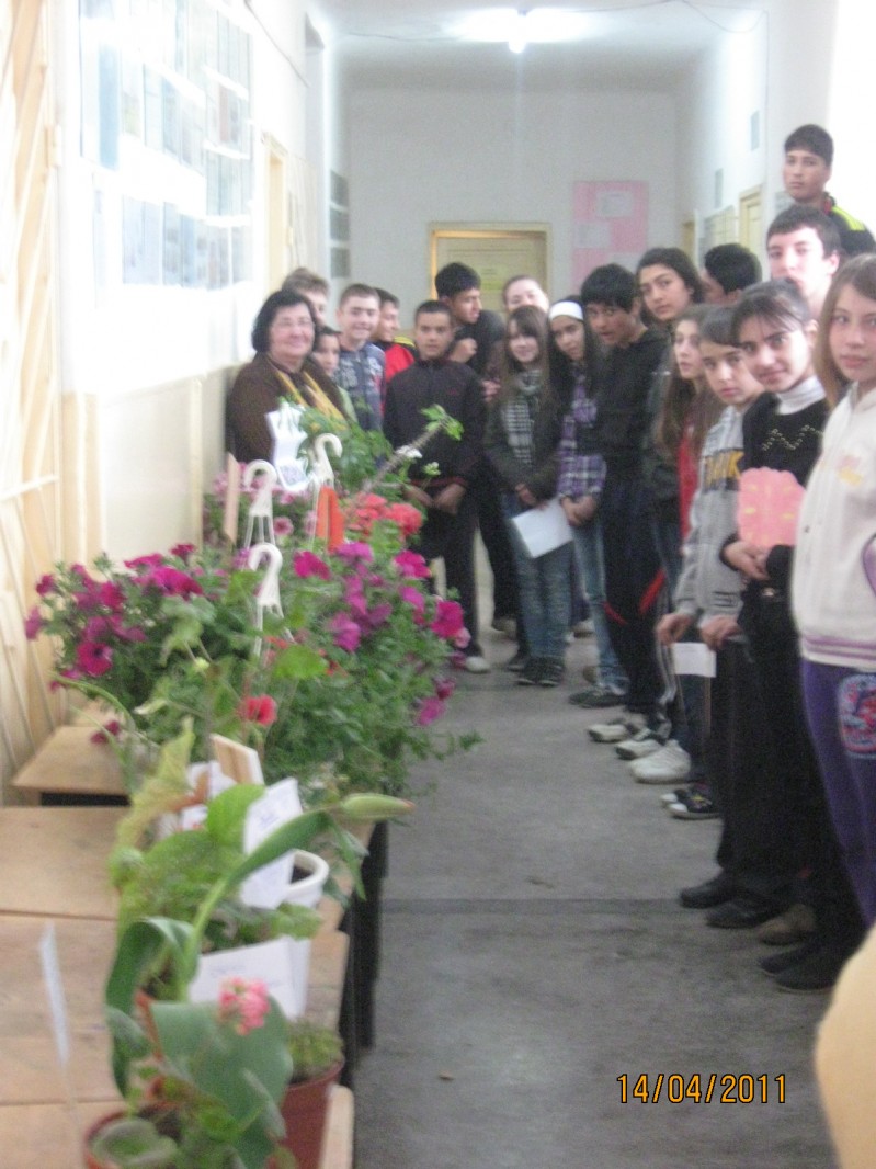 Elevii cls. VI-VIII au organizat cu ocazia zilei Pământului 22 aprilie 2011 o frumoasă activitate : fiecare au prezentat o floare în faţa colegilor ( denumirea , descriere , condiţii de creştere) 