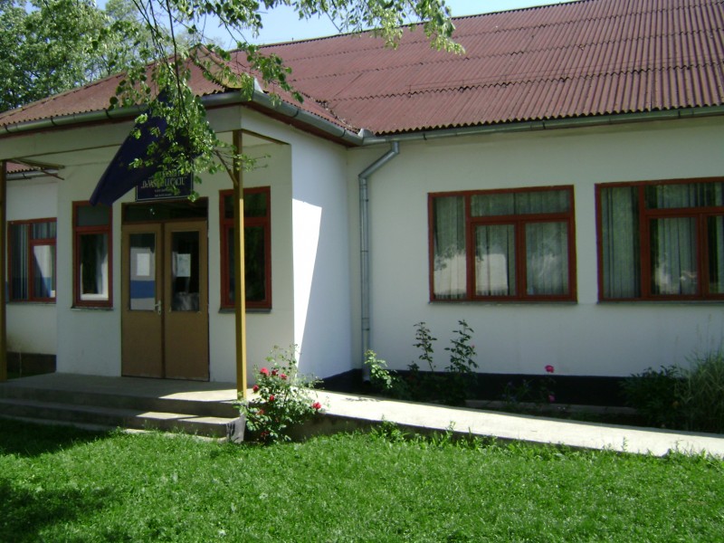 Şcoala este situată în centrul localităţii Lucăceni şi dispune de două corpuri de clădire.