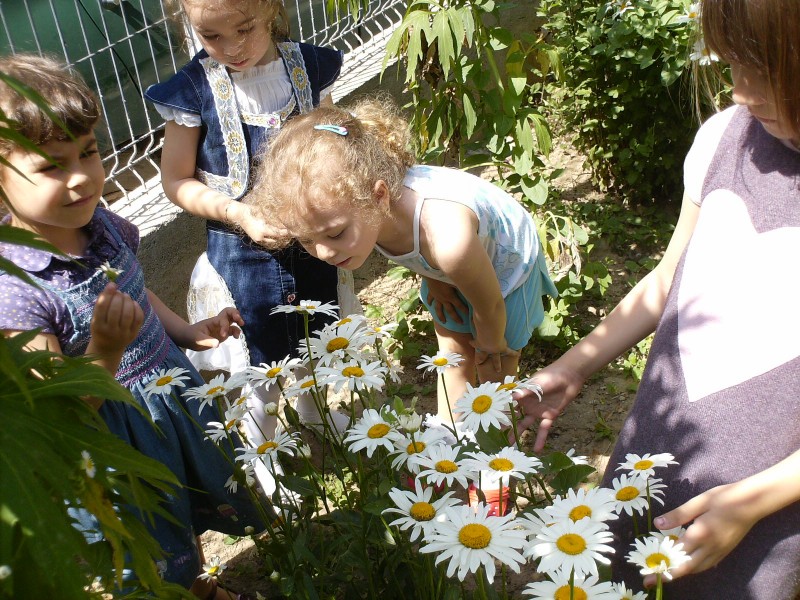 Copiii din grupa mica "B"  Gr PINOCCHIO Craiova se bucura de rezultatele muncii lor in gradina cu flori