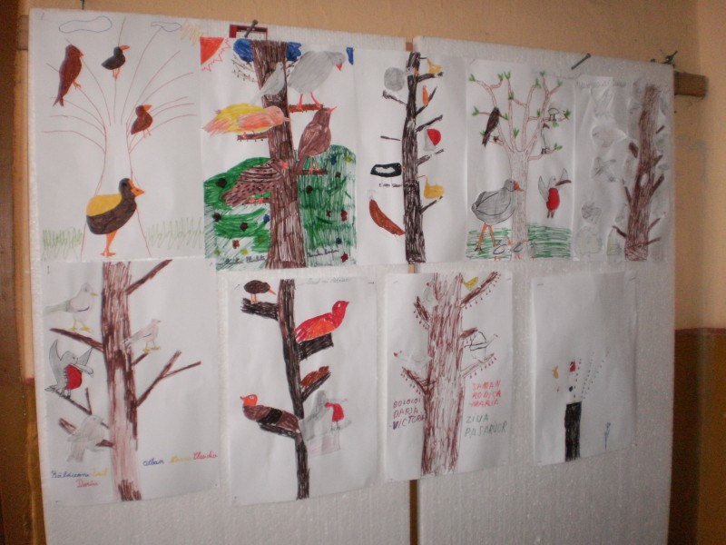 Fotografiile prezinta cateva din activitatile desfasurate de elevii scolii prim. Apa-Neagra,in perioada 1-5 .04.2013