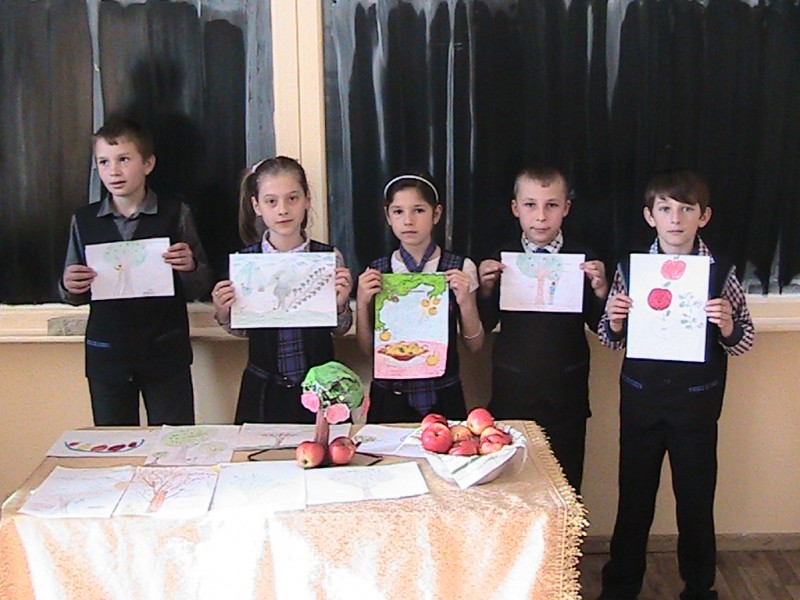 Proiect educational avand ca scop incurajarea consumului de fructe in scoli