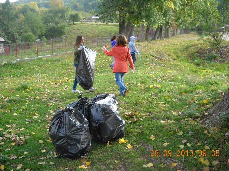 În data de 28 septembrie 2013 unitatea noastră şcolară a participat la acţiunea de ecologizare Let s do It Romania!