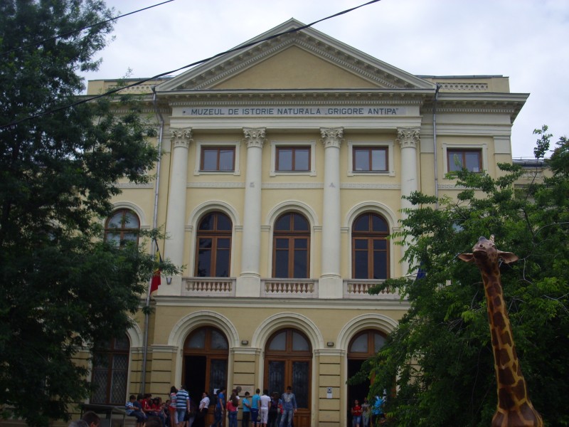 Muzeul  G.Antipa