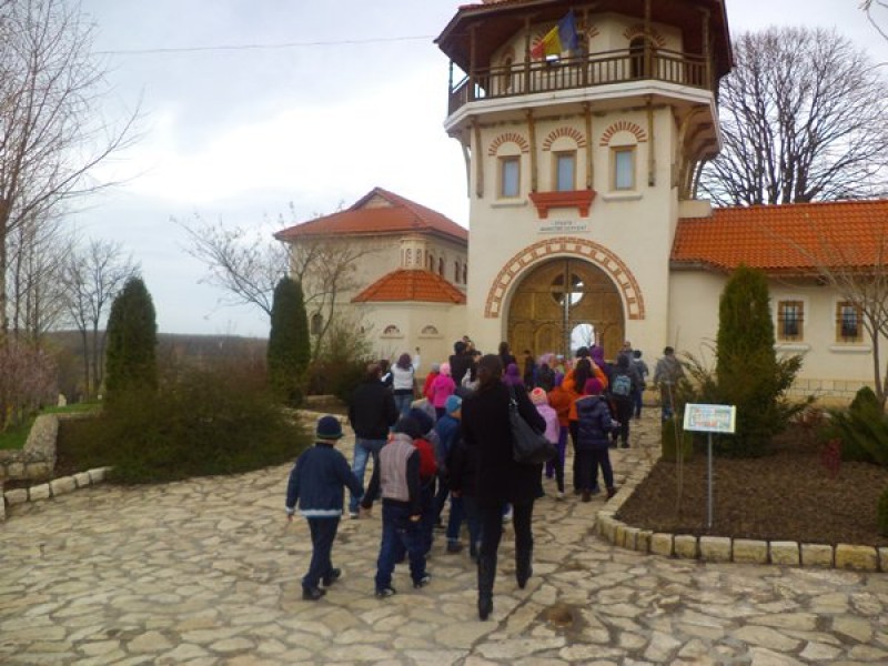 Grădiniţa 15