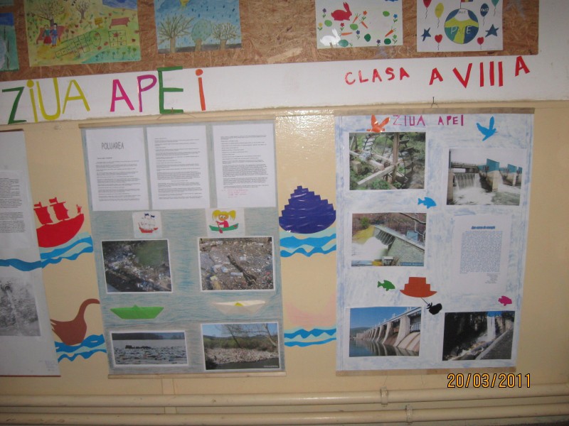 Polarea apei si masuri ce pot fi luate de noi pentru inlaturarea poluari au fost prezentate de elevii cls. a VIII-a in posterele realizate de ei si afisate pe holul scolii.