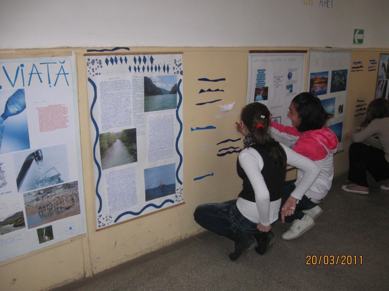 Elevii cls. a VI-a au realizat postere despre importanta apei afisate pe holul scolii.