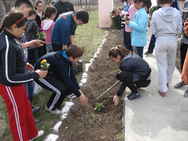 Activități practice de plantare a florilor și îngrijirea spațiilor verzi din curtea școlii.