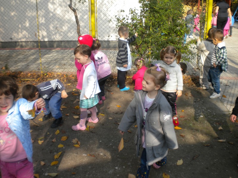 Grupa mica  a iesit in curte la sortat de frunze dupa diferite criterii!
