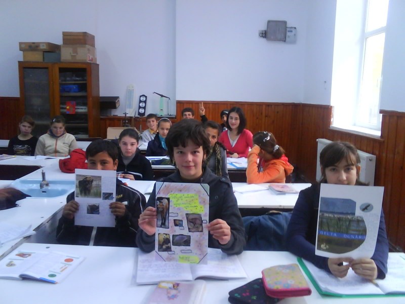 Foto reprezinta activitati ale elevilor de la Şcoala Valea Mare-Pravăţ de la activitatea "Prietenii noştri necuvântătoarele"