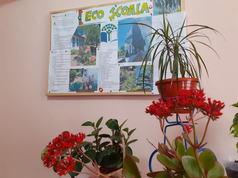Eco-Școala