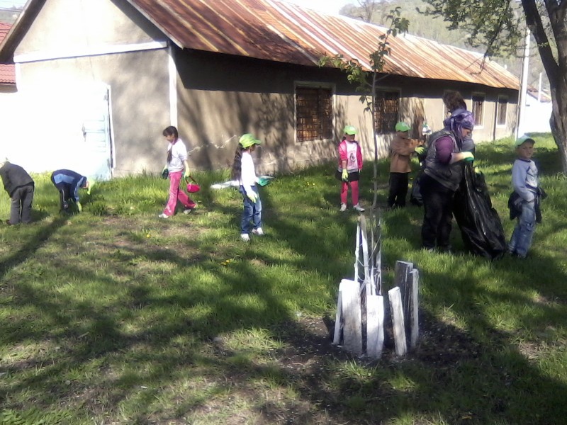 In cadrul proiectului ecologic avem grija de curtea scolii.
