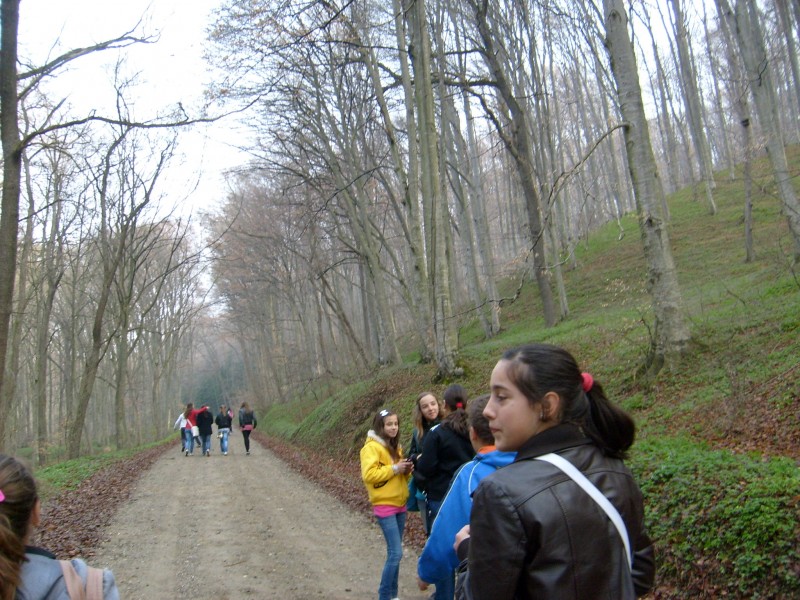 Elevii în pădurea din zona Mărgineni-Trebeş.