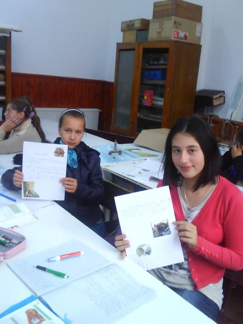 Foto reprezintă activităţi ale elevilor de la Şcoala valea Mare-Pravăţ