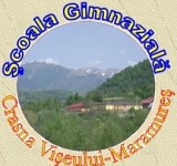Scoala Gimnaziala Crasna Viseului