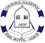 Colegiul National "Emil Botta" Adjud