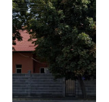 Gradinita cu program prelungit Nr.3 Arad
